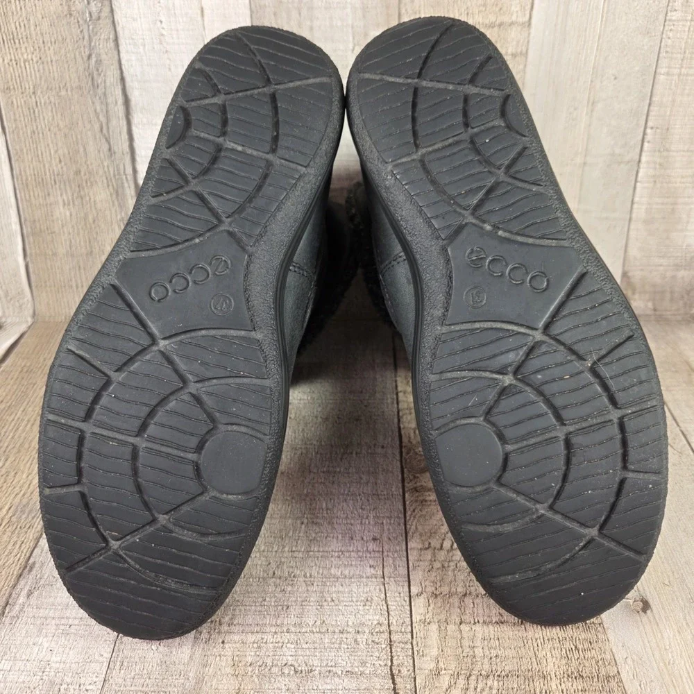 Ecco chase ii